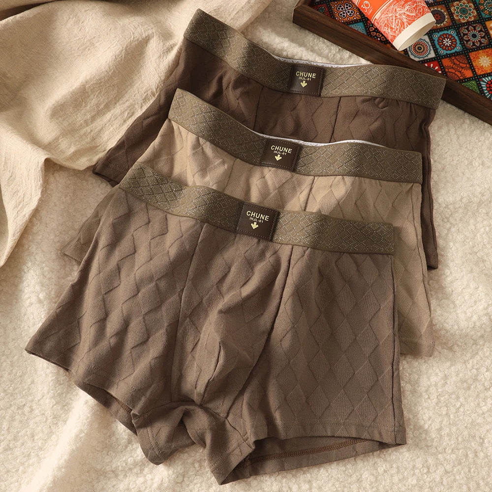 Old Money Luxury Briefs