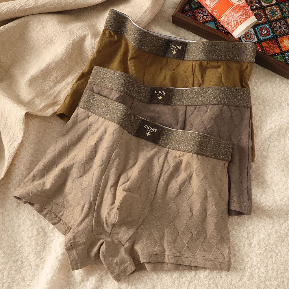 Old Money Luxury Briefs