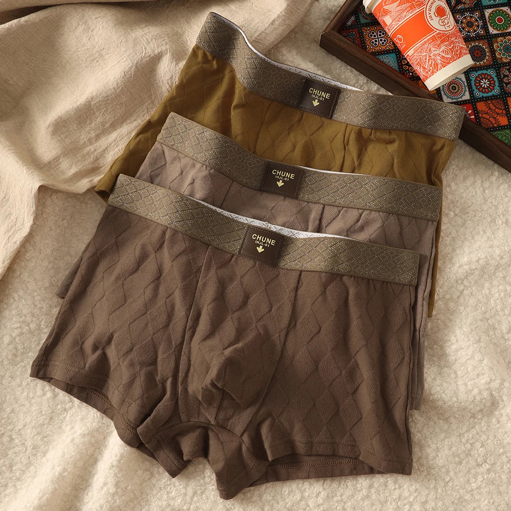 Old Money Luxury Briefs