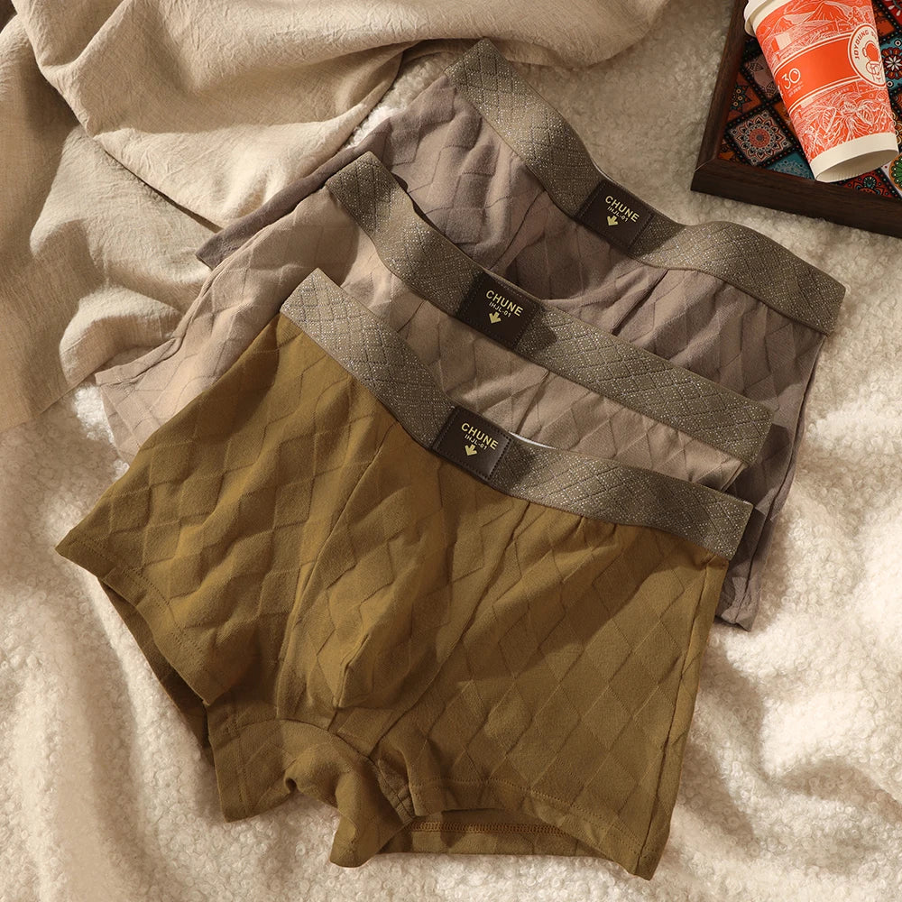 Old Money Luxury Briefs