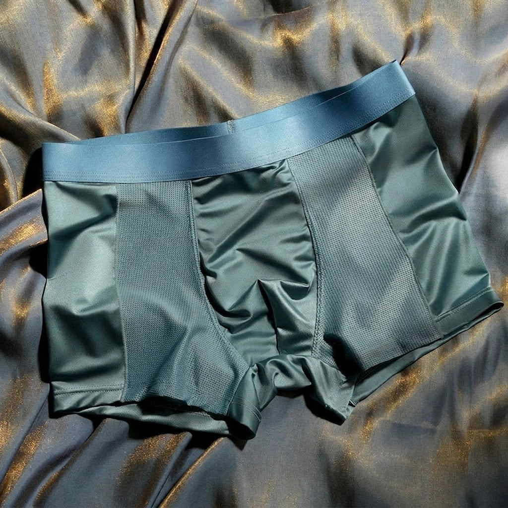 OldMoney Silk Mesh Boxer Briefs