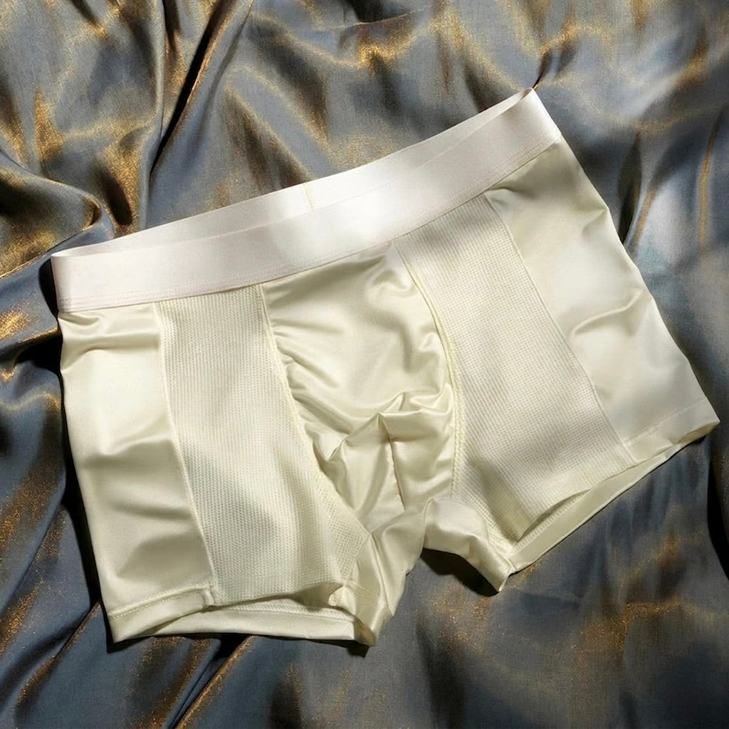OldMoney Silk Mesh Boxer Briefs