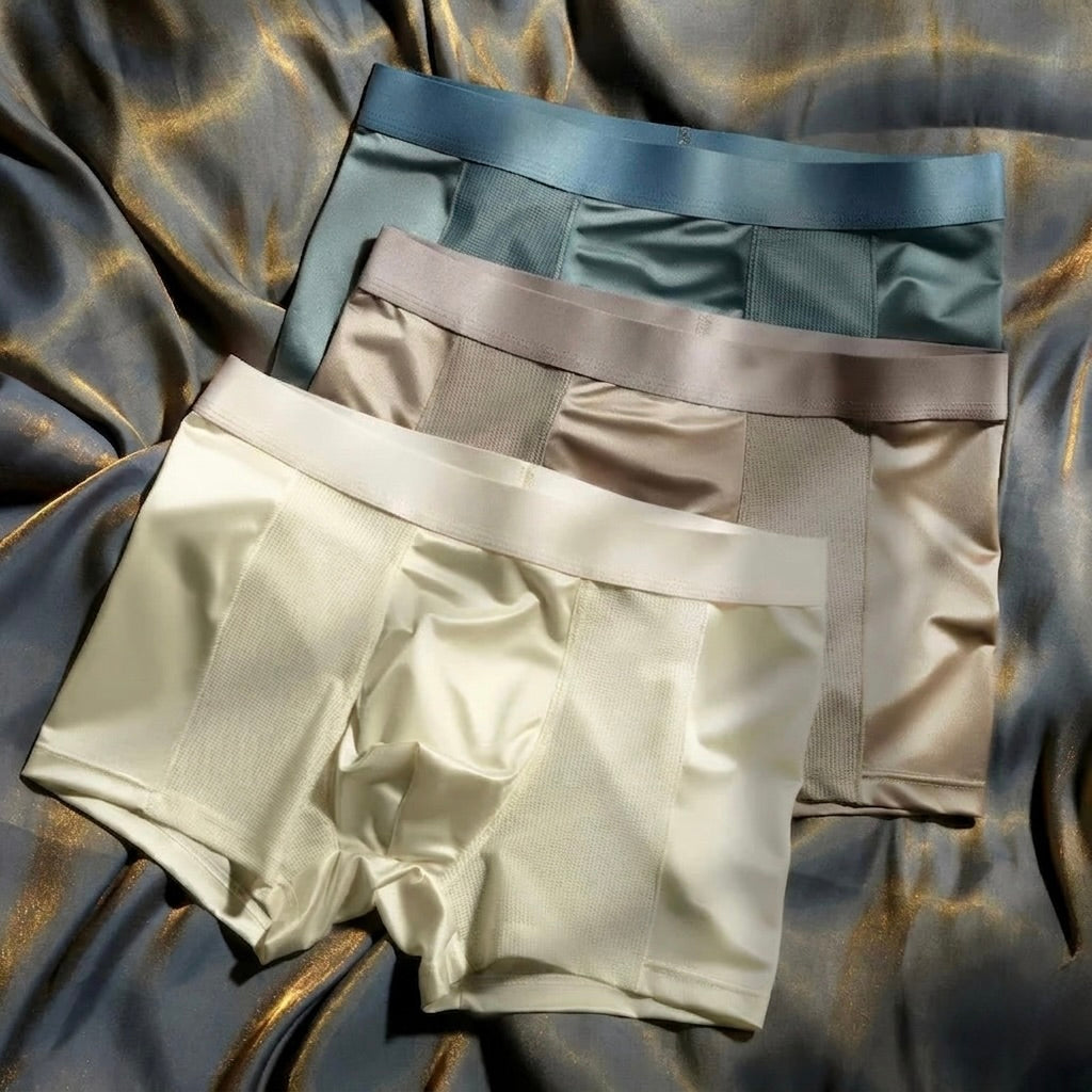 OldMoney Silk Mesh Boxer Briefs
