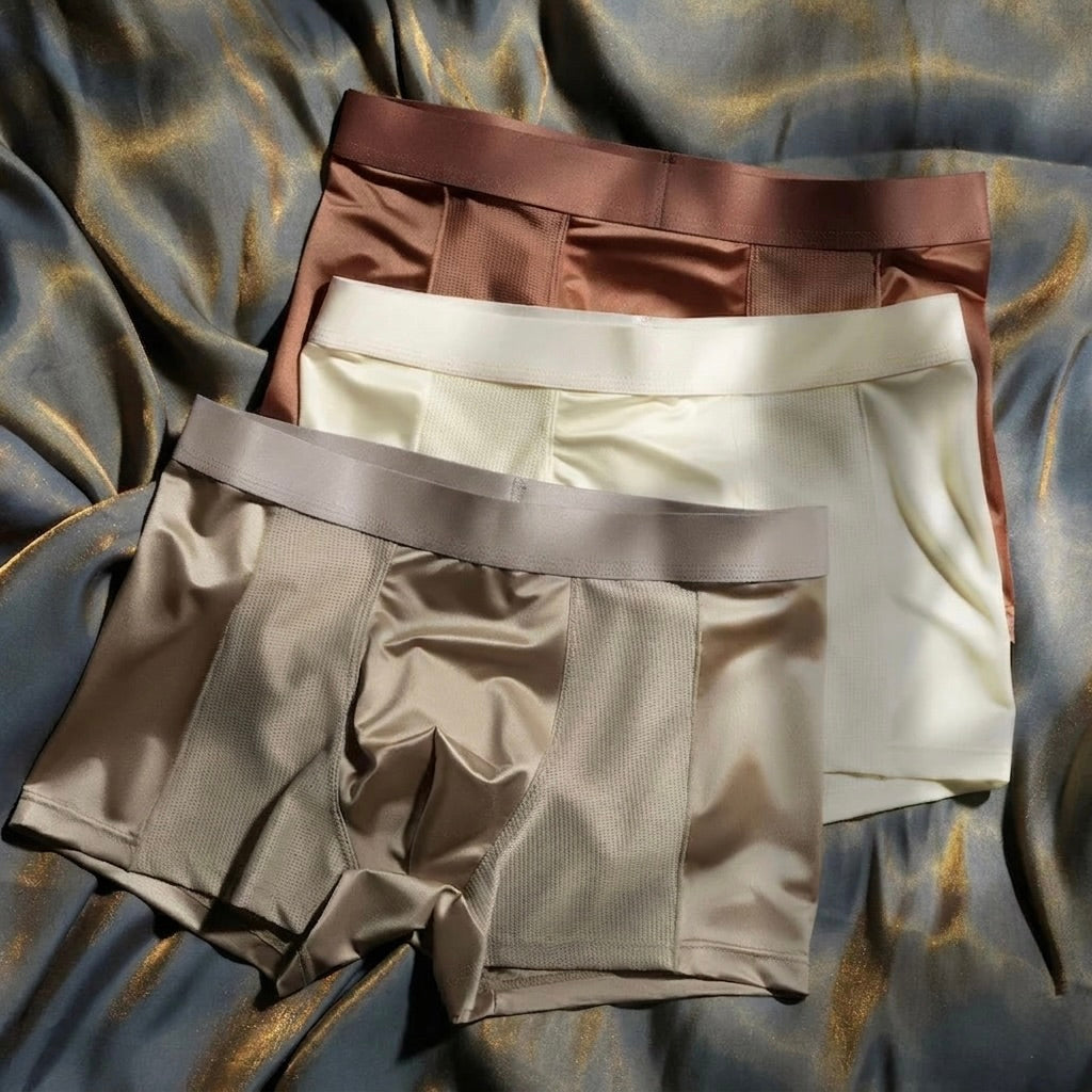 OldMoney Silk Mesh Boxer Briefs