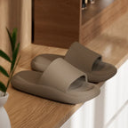 Pair of beige slippers on a wooden surface with a plant in the background