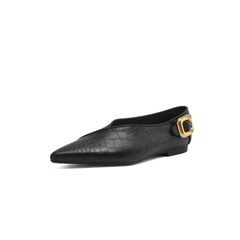 Cavallia Pointed Flats