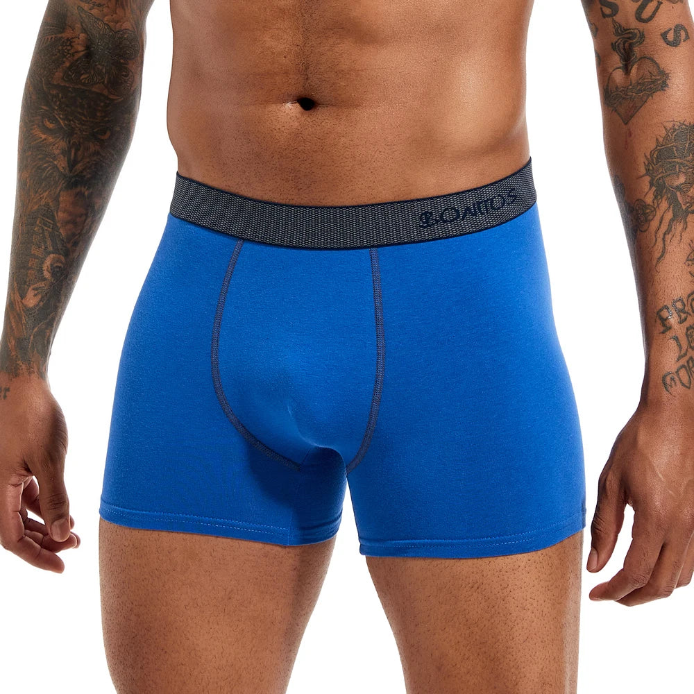 Signature Noir Briefs